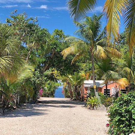 The Pelican Key Largo Cottages Kültér fotó