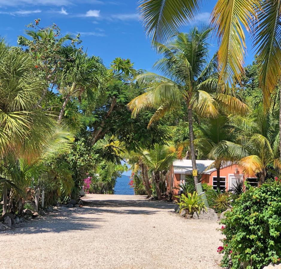 The Pelican Key Largo Cottages Kültér fotó